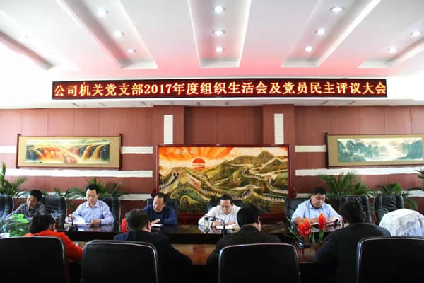 隴運集團(tuán)公司機關(guān)黨支部召開專題組織生活會及黨員民主評議大會